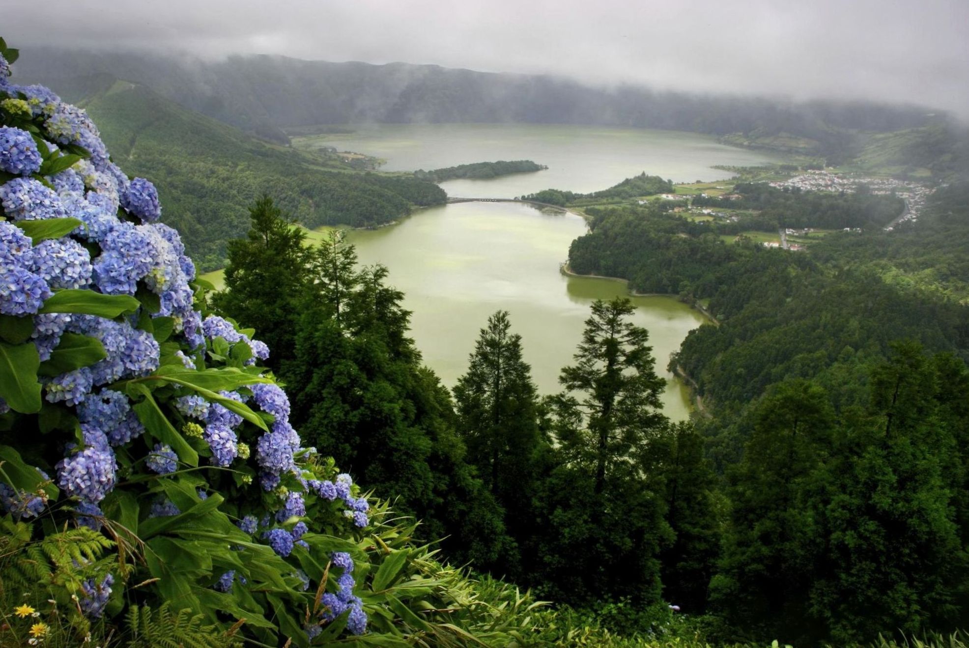 Lac de cratère bordé d'hortensias bleus dans les Açores